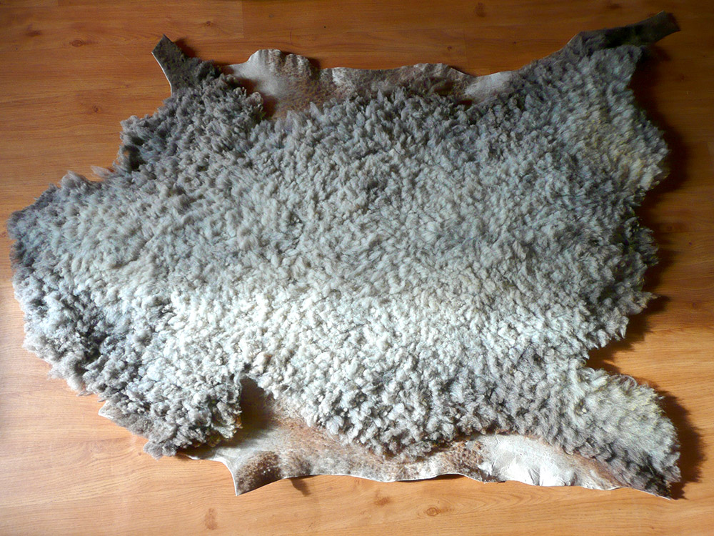 Spracovanie ovcej koze v domacich podmienkach (3)