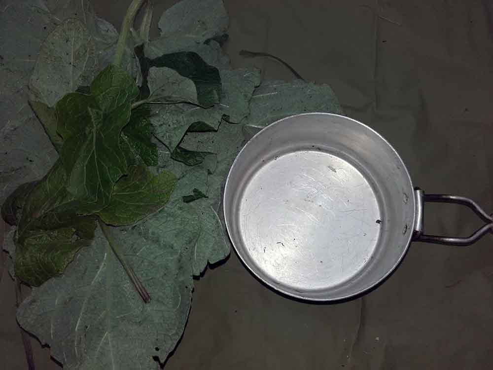 ochutnavka-horkych-rastlin-7